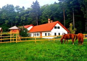 Turistična kmetija Hiša ob gozdu pri Ptuju